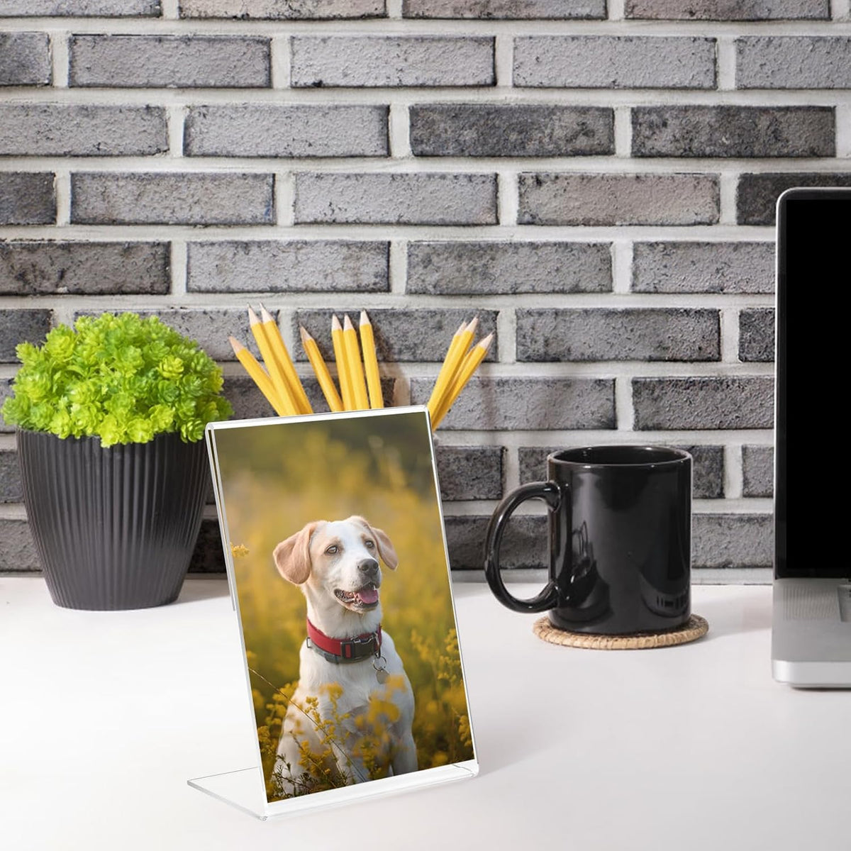 Lechay 8 Pcs 4x6 Inch Clear Acrylic Photo Frame Scratch-Resistant & Multi-Scene Styling Frame Display Pictures for Home,School,office Clear Memories