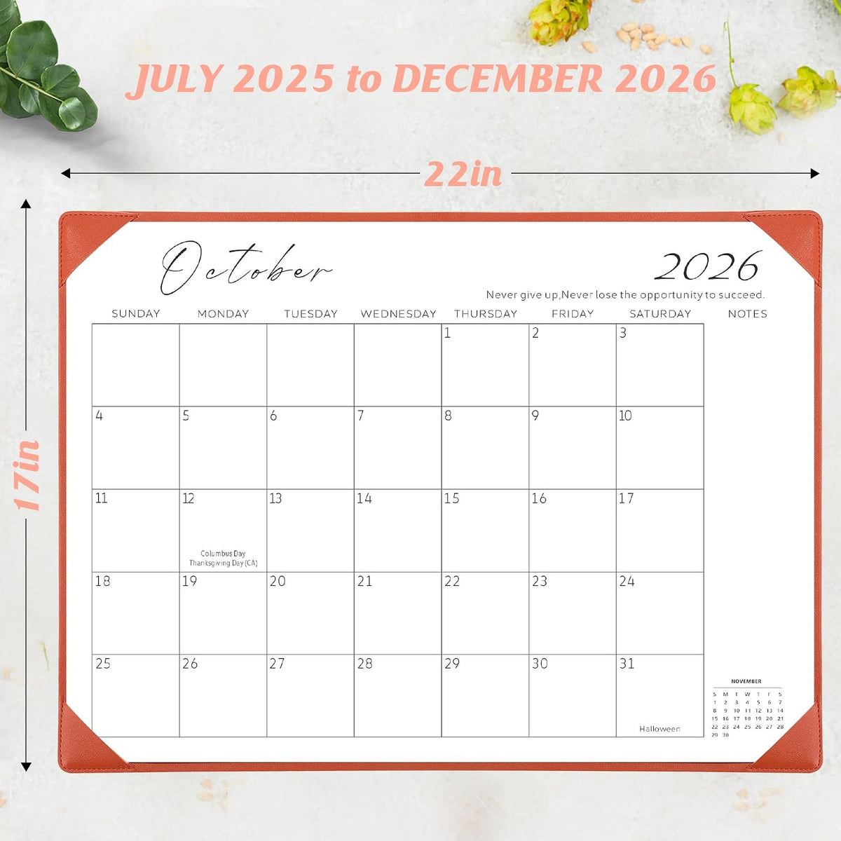 Desk Calendar 2026-2027 with Desktop Mat,22x17'' Large Desktop Pad Calendar
