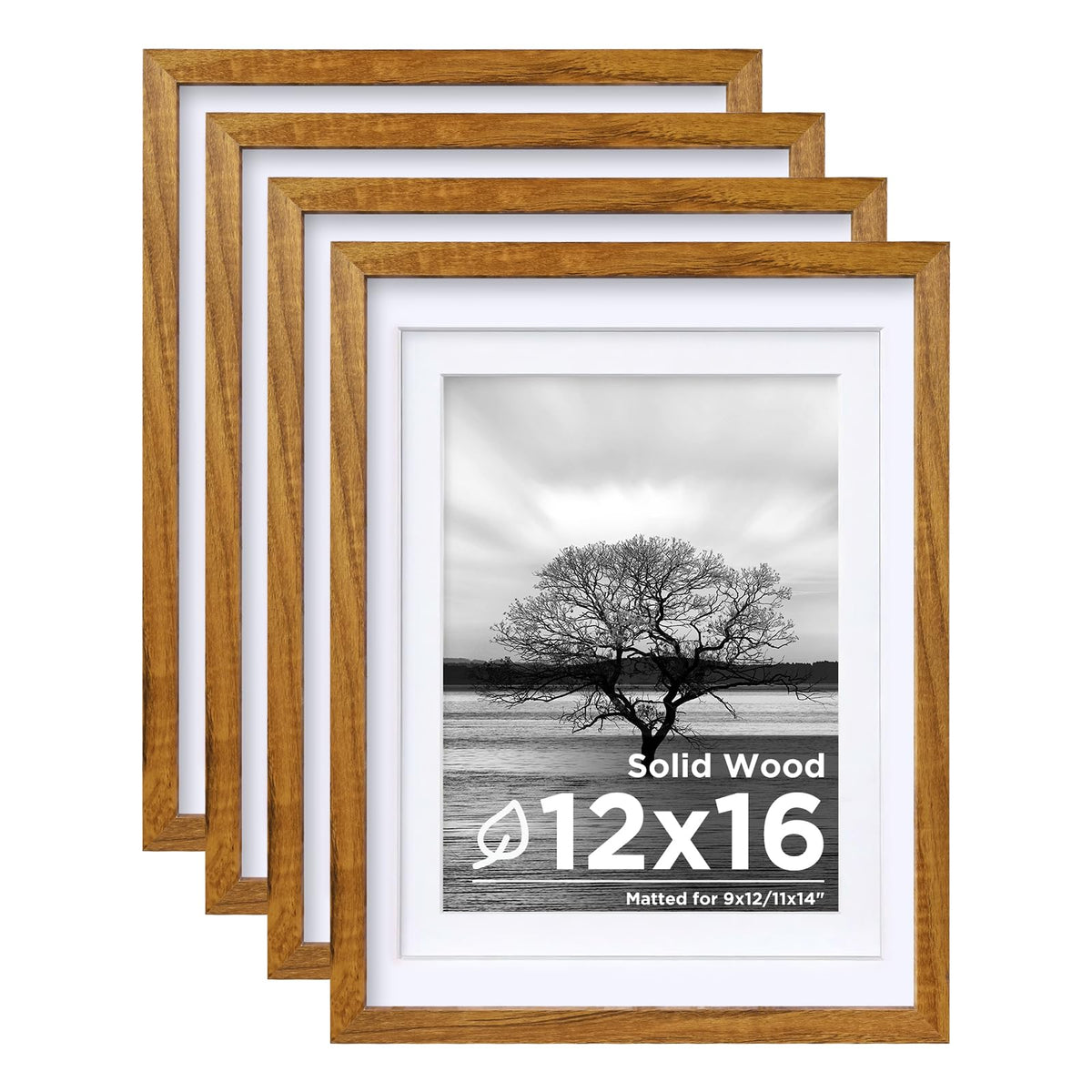Egofine 8x10 Picture Frames Set of 4, Made of Solid Wood Covered by Plexiglass 4x6 and 5x7 with Mat or 8x10 without Mat, for Table Top Display and Wall Mounting Photo Frame Black
