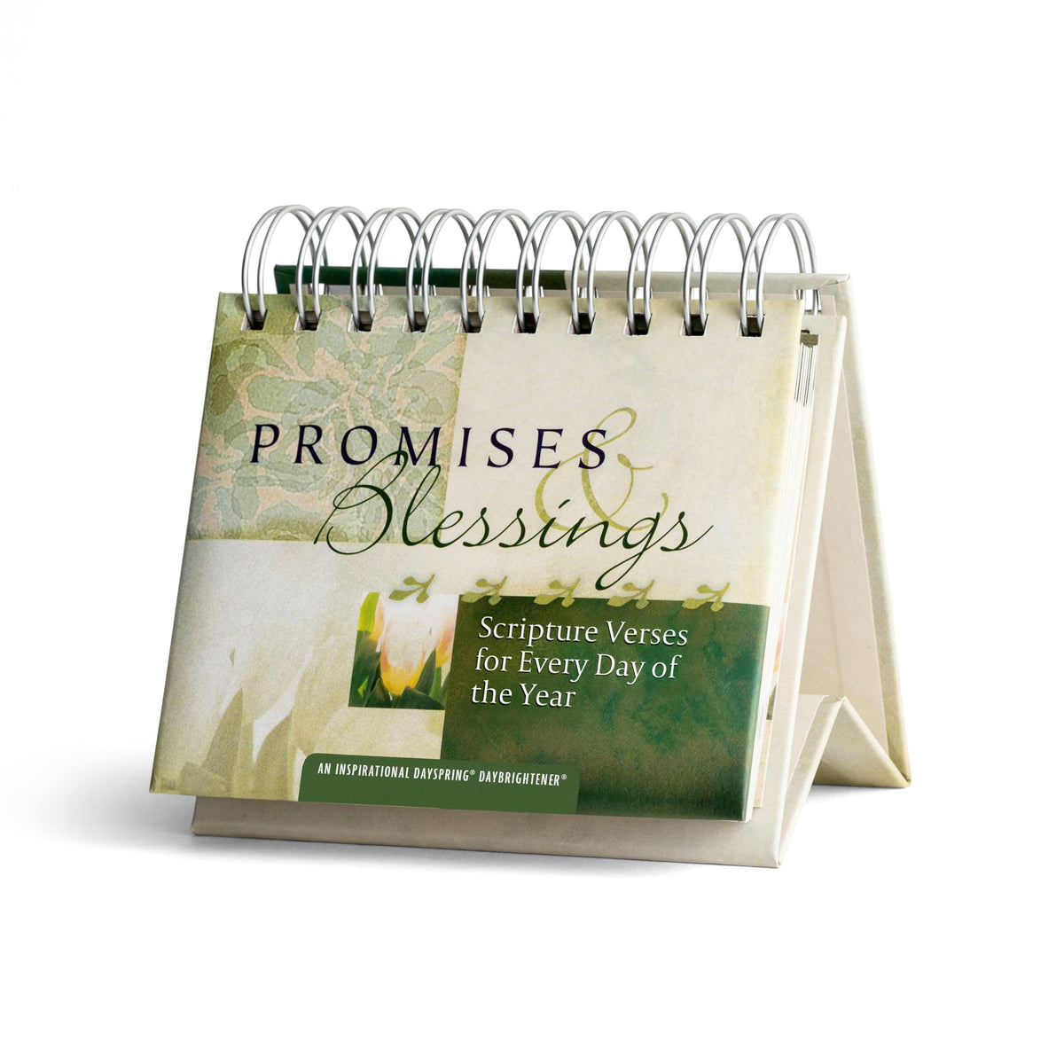 Hallmark DaySpring 365-Day Perpetual Calendar (Jesus Calling)