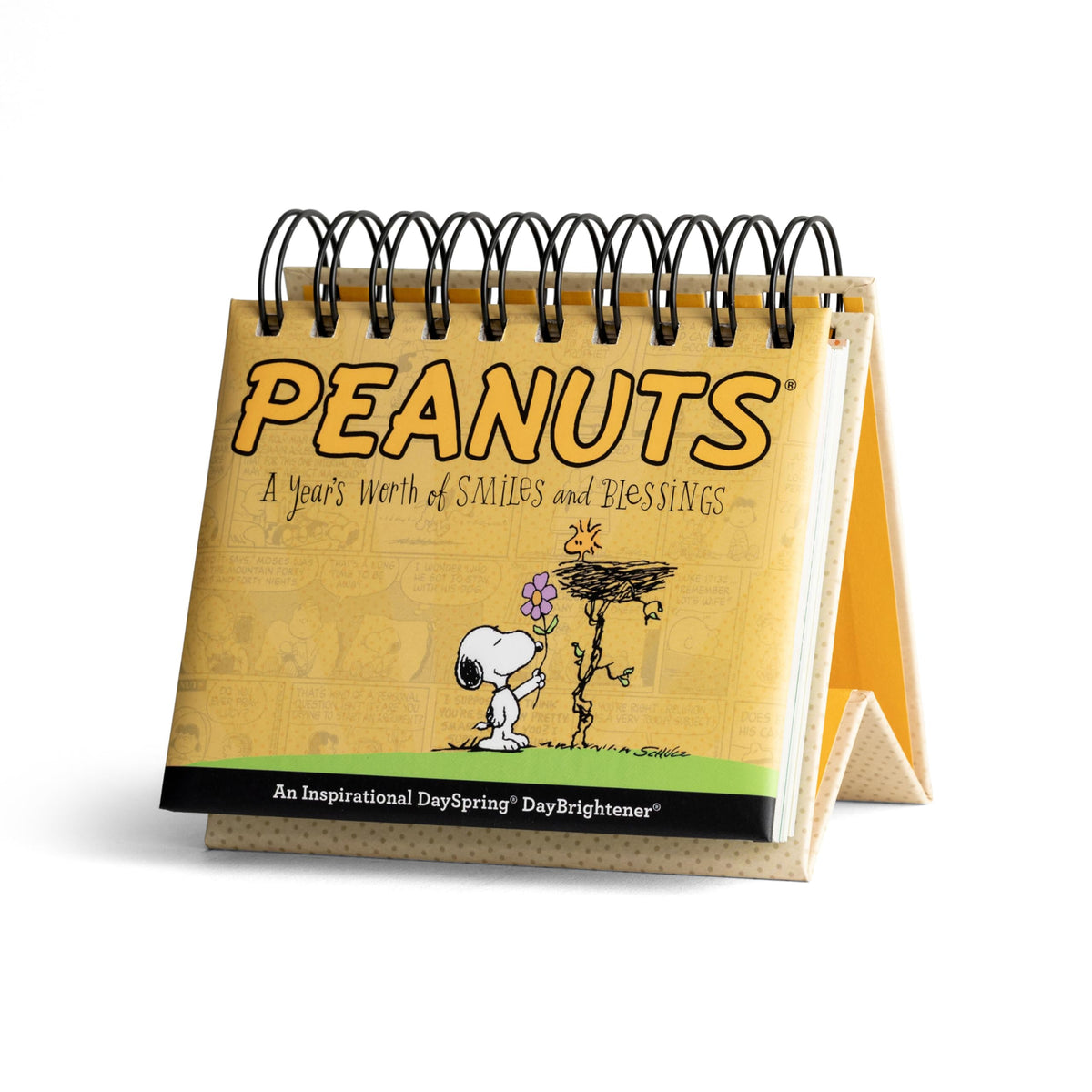Hallmark DaySpring 365-Day Perpetual Calendar (Jesus Calling)