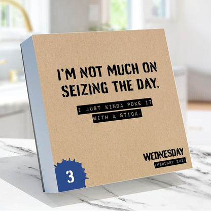 TF Publishing 2027 Anti Affirmations/Daily Sarcasm Daily Desktop Calendar